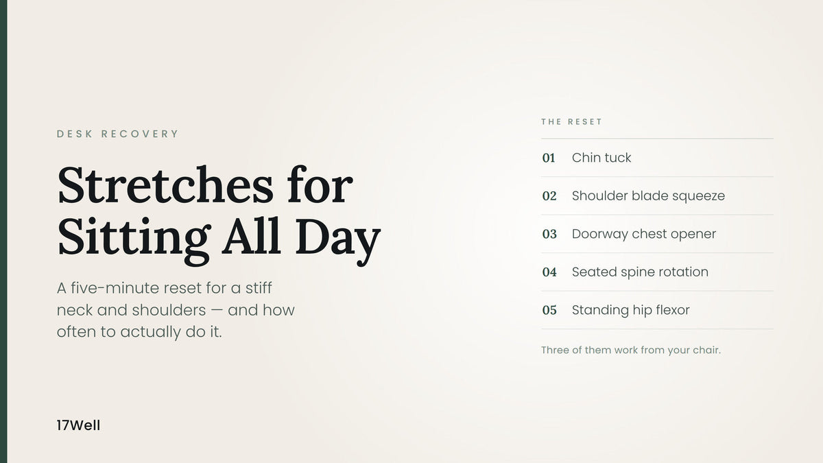 Stretches for Sitting All Day: A 5-Minute Desk Reset for Neck and Shoulders